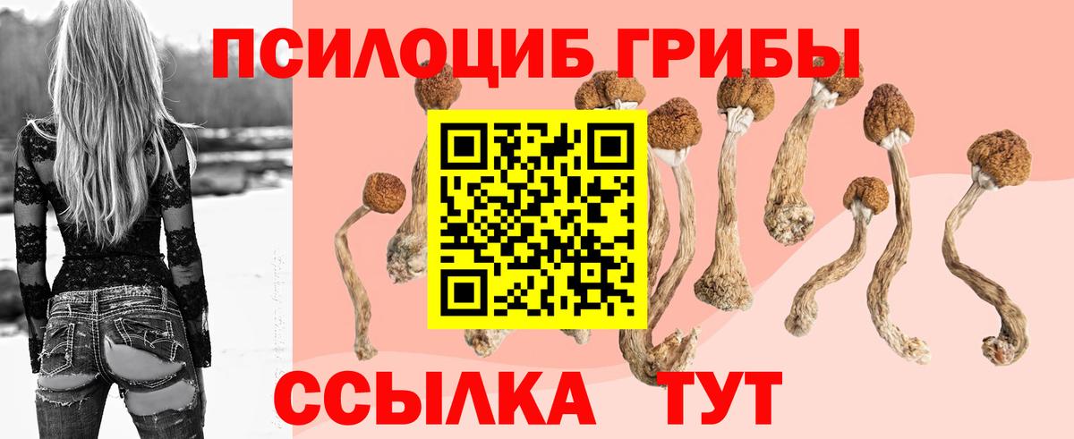 Галлюциногенные грибы Cubensis Дубна